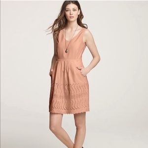J. Crew Delaney Eyelet Dress